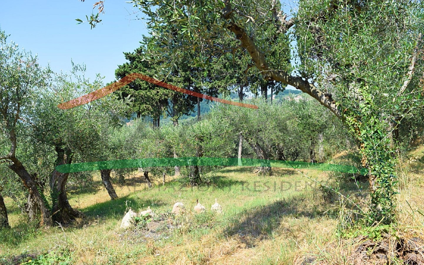 Villa in Collina Vista Mare con Parco Privato(Copy30)