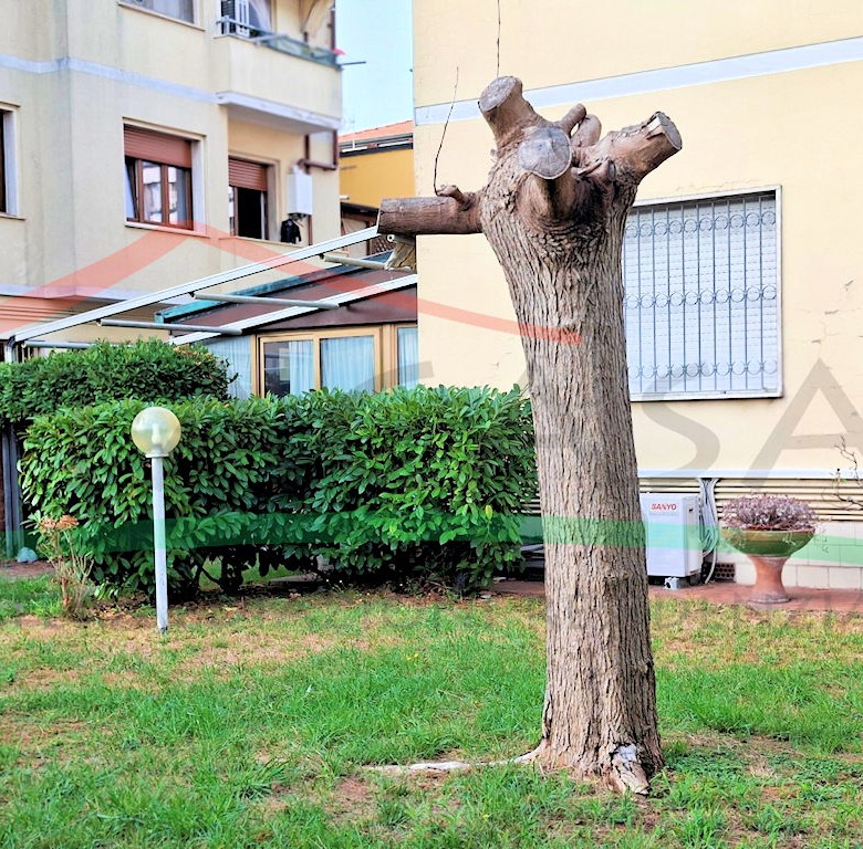 Appartamento Piano Terra Con Giardino
